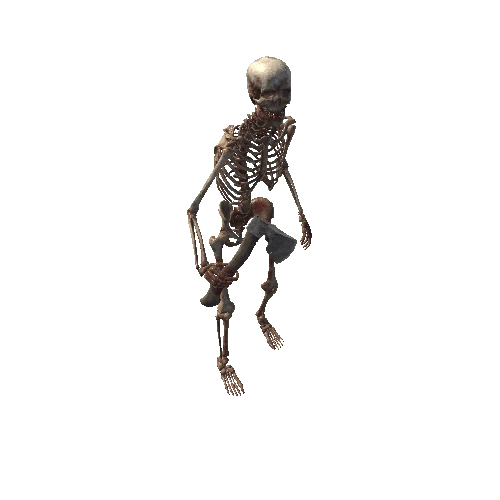 Skeleton 2